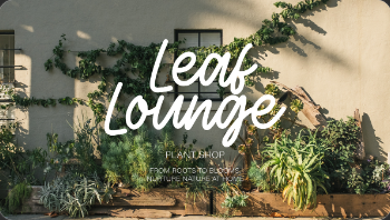 Leaf Lounge